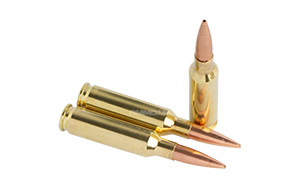 6.5mm Creedmoor (HP)