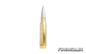 7.62x51mm NATO (DM111)